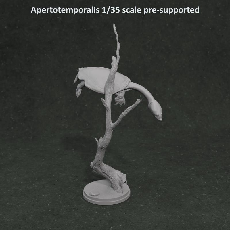 Apertotemporalis swimming 1-35 scale pre-supported prehistoric turtle