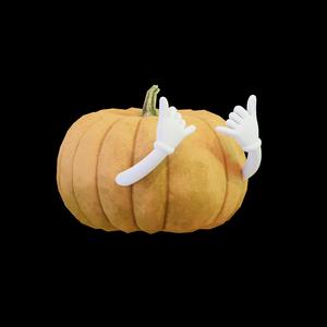 Mr Pumpkin Head Cute Arms 2
