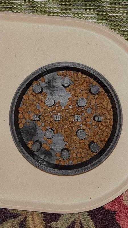 Cat Slow Feeder