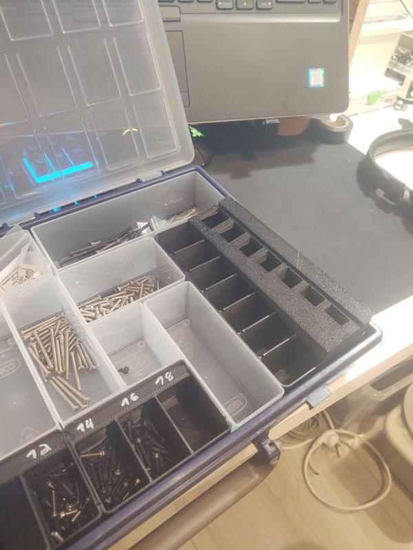 "Amazing" M3 Bolt Sorter for Raaco Assorter 55