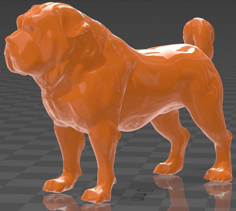 Neapolitan Mastiff-mastin