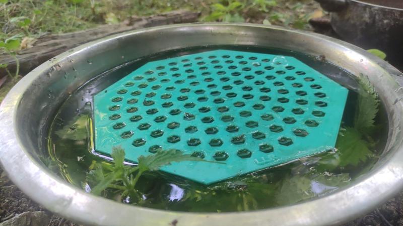 Bee water drink platform
