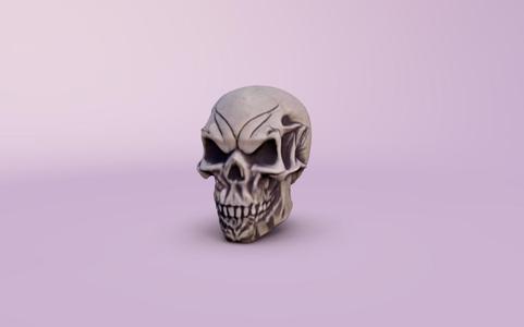 Human skull