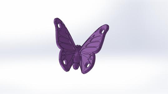 angle butterflies