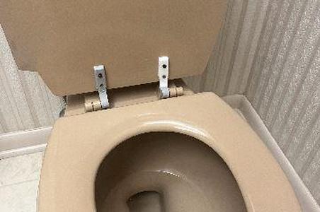 Kohler Toilet Seat Lid Hinge