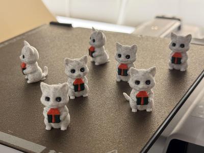 Adorable Christmas Present Kittens!