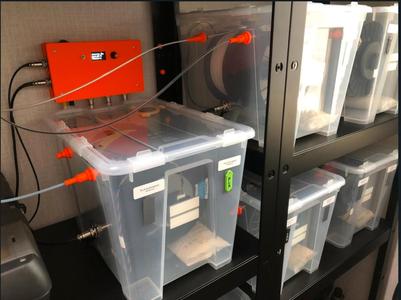 Dry Box with electric Auto-rewind Spool holder MMU2