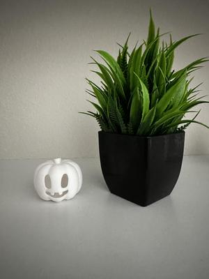 Minimalist Pumpkin