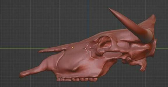 Texan bull skull