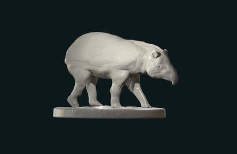 Tapir walking stl