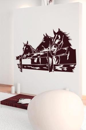Horse, horses