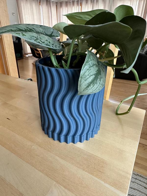 Pot with Drip Tray