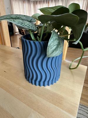 Pot with Drip Tray