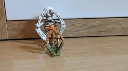 Skeleton with a Cowboy hat   