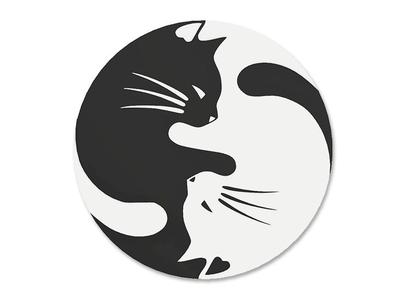 Black Cat, White Cat