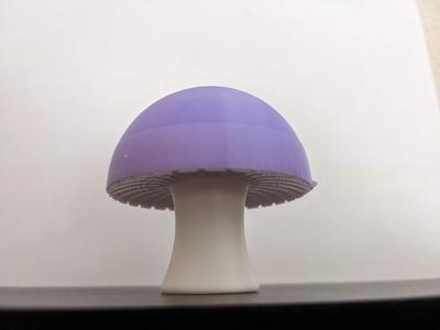 Cute Little Mushroom (2-pieces)