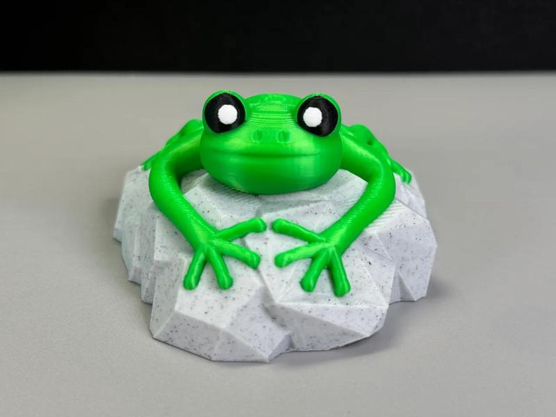 Frog on a stone   
