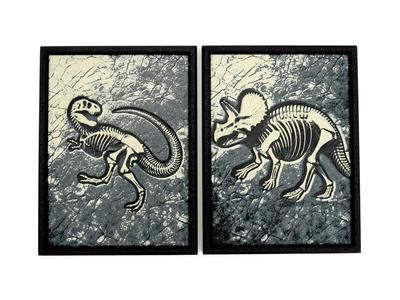 Dinosaur Fossils Wall Art   