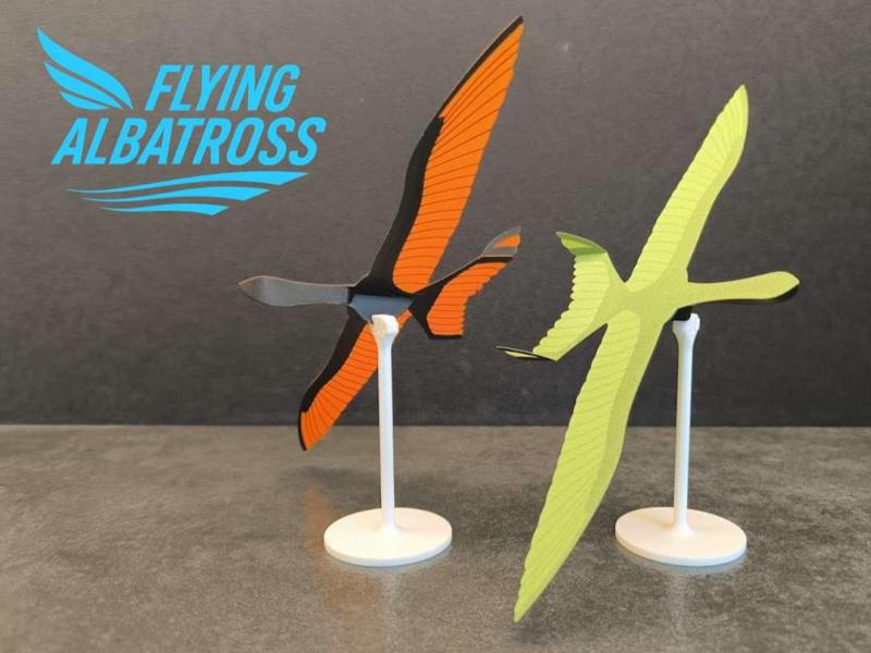 Flying Albatross