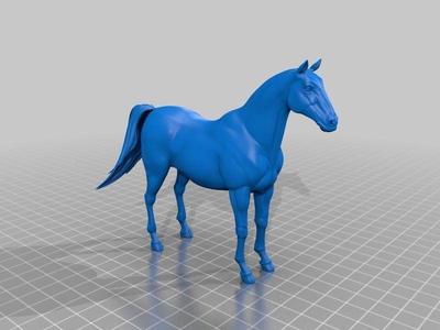 Horse