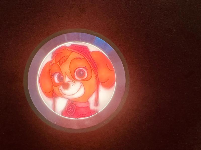 Palm Relief - Paw Patrol Four Characters Small Relief