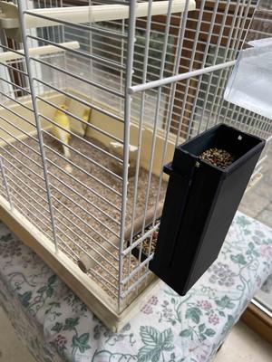 Bird feeder