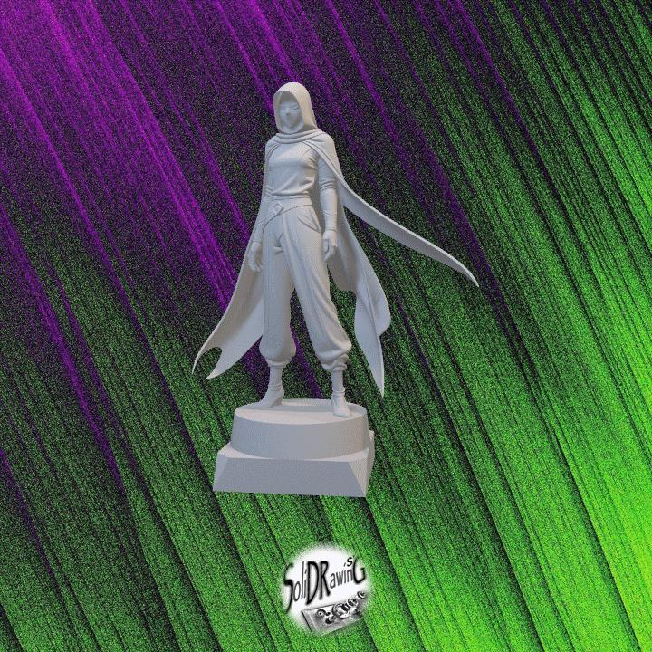 Veil Sentinel - SoliDRawinGs C118