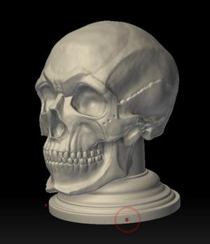 Artistic skull