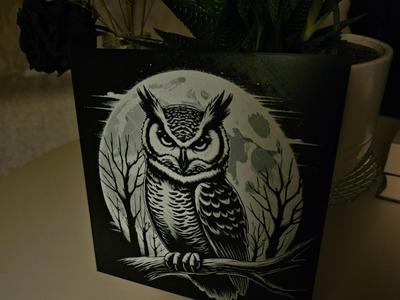 Owl Hueforge (Black/White)