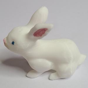 Bunny