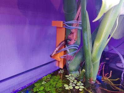 Aquarium Plant Mount