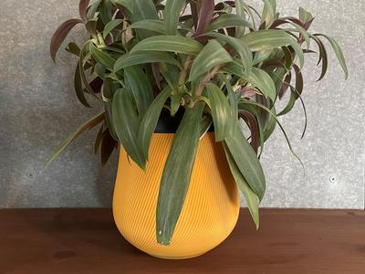 Spiral ribbed pot (planter)