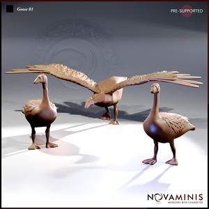 Goose 01