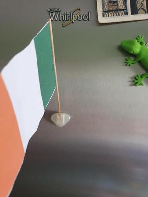 Flag Pole Fridge Magnet