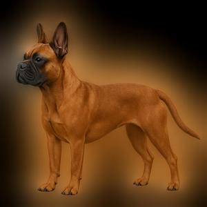 French Bulldog statue with nose and tail