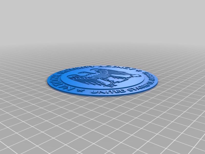 NSA Logo
