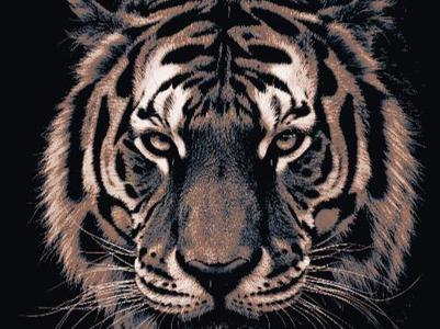 Tiger Hueforge