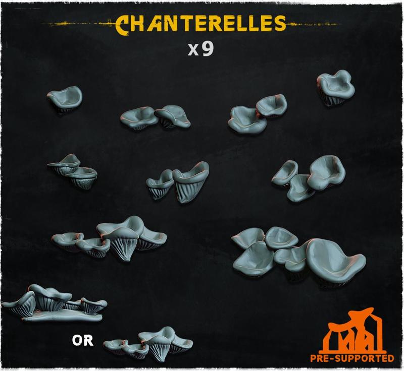 Chanterelles - Basing Bits 1.0