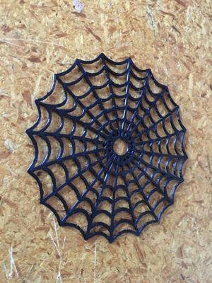 spider web