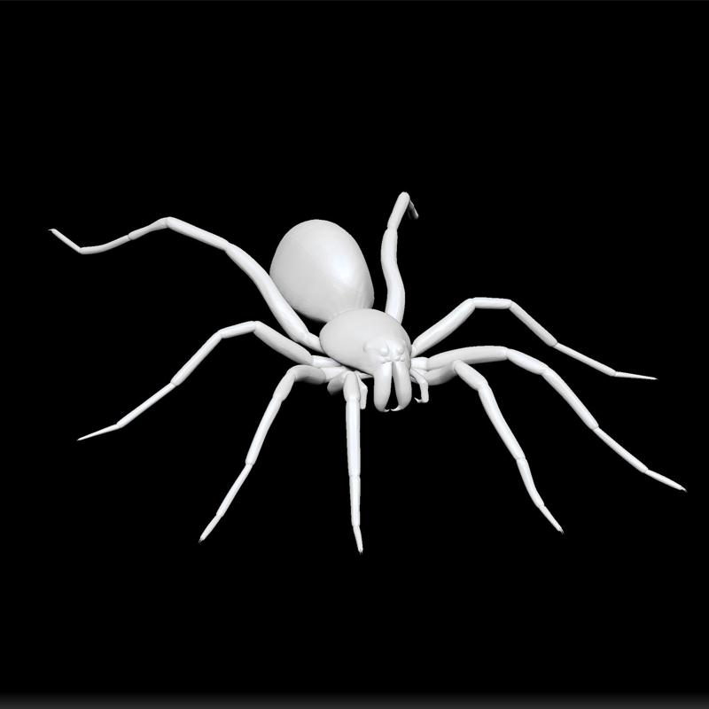 Spider