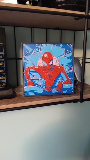 Spider Man Type paint 10cm*10 cm and 20cm*20cm