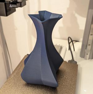 Elegant Vase