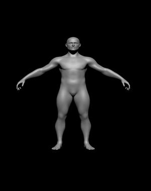 Naked human body male