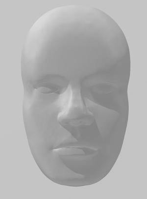 Human mask 2 types