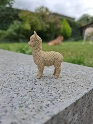 Mini Alpaca