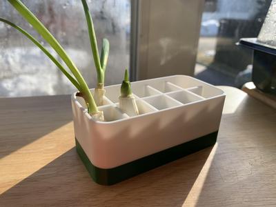 Green Onion Regrow Pot