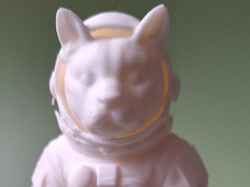 Cat astronaut