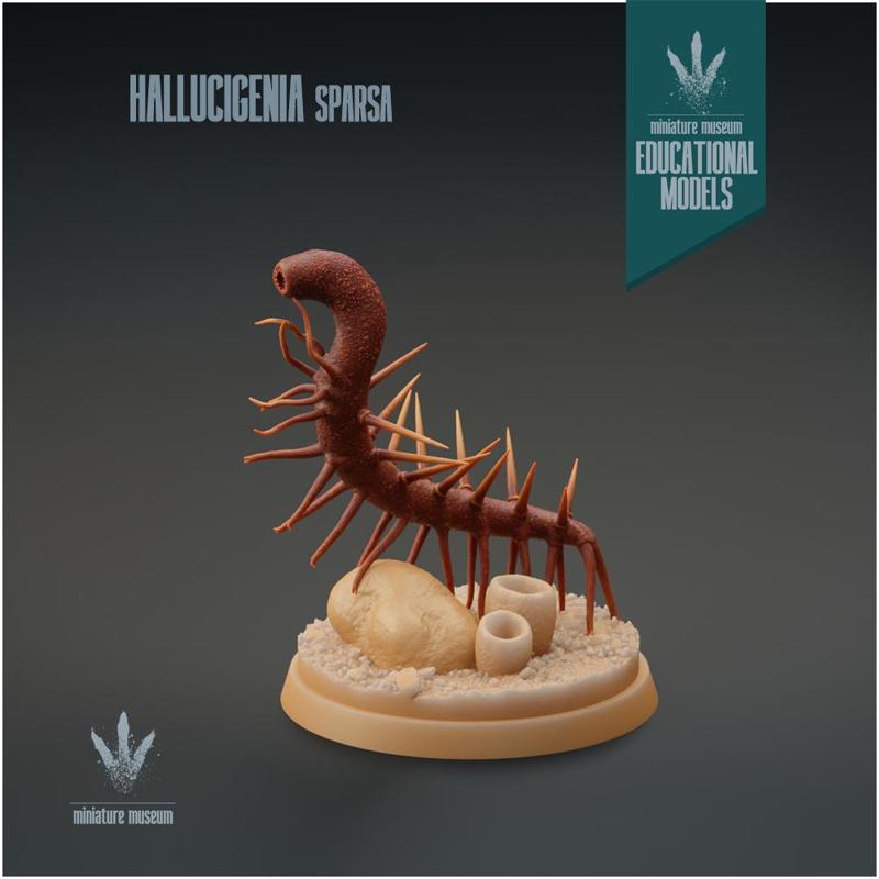 Hallucigenia sparsa : Prickly Worm