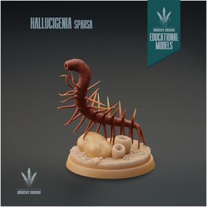 Hallucigenia sparsa : Prickly Worm