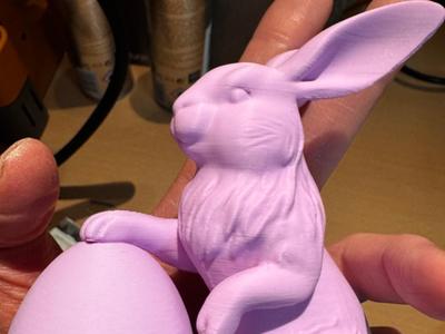 Proud Easter Bunny with Egg